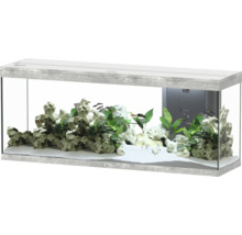 Aquarium mit Dekoration, Pflanzen und Fischen