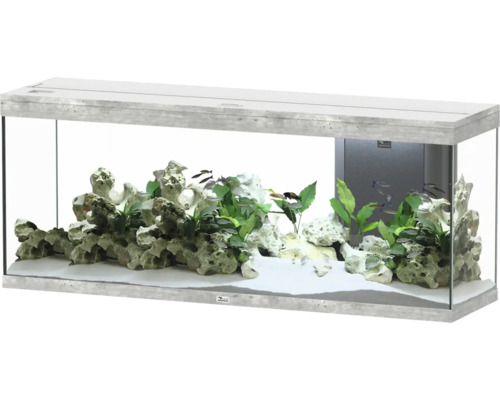 Aquarium mit Dekoration, Pflanzen und Fischen