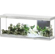 Aquarium mit Dekoration und Fischen