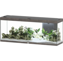 Aquarium mit Fischen, Pflanzen und Steinen