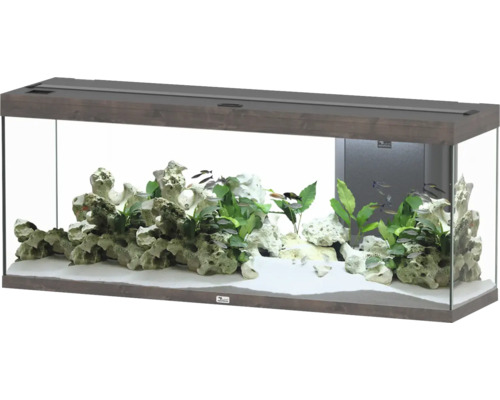 Aquarium mit Fischen, Pflanzen und Steinen