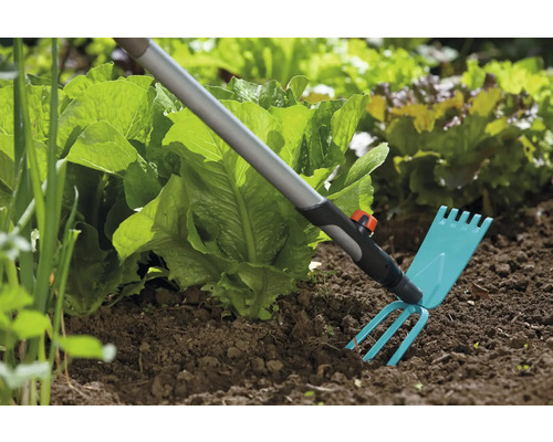 Gartengerät zur Bodenbearbeitung neben Salatpflanzen im Garten.