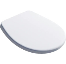 Toilettendeckel aus Sanitärkeramik