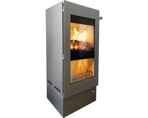 Kaminofen mit Glasfront und brennendem Holz