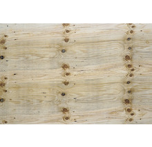 Holzplatte mit Astlöchern