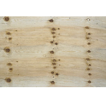 Holzplatte mit Astlöchern