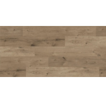 Laminat 8.0 Stand. Ei. Ferr. Wildlife-thumb-1 Laminat 8.0 Stand. Ei. Ferr. Wildlife-thumb-1