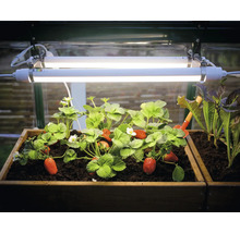 Pflanzenlampe Palram – Canopia Brighton LED-Wachstumslicht höhenverstellbar-thumb-3 Pflanzenlampe Palram – Canopia Brighton LED-Wachstumslicht höhenverstellbar-thumb-3