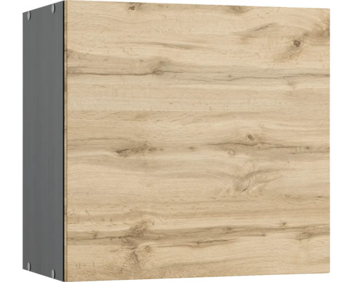 Hängeschrank mit Holzdekorfront