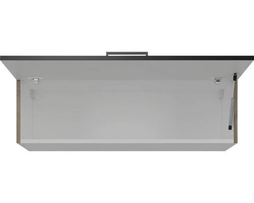 Geöffneter Hängeschrank mit Innenleben und Beschlägen.