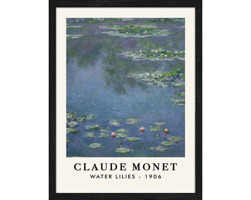 Gerahmtes Bild Monet Waterlilies 33x43 cm