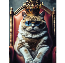 Katze mit Krone und Sonnenbrille auf einem Thron
