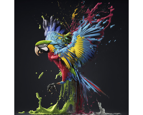 Glasbild Colorful Ara 50x50 cm