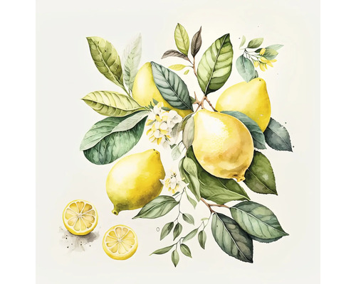 Glasbild Lemons I 50x50 cm