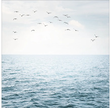Foto vom Meer mit fliegenden Vögeln