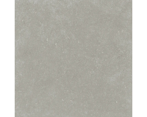 FLAIRSTONE Feinsteinzeug Terrassenplatte Skyfall beige rektifizierte Kante 90 cm x 45 cm x 3 cm FLAIRSTONE Feinsteinzeug Terrassenplatte Skyfall beige rektifizierte Kante 90 cm x 45 cm x 3 cm