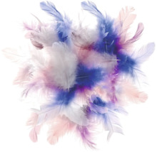 Bündel aus Federn für Bastelarbeiten