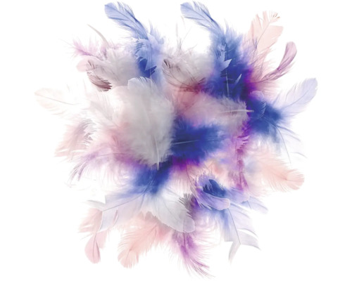 Bündel aus Federn für Bastelarbeiten