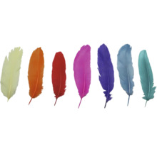 Verschiedenfarbige Federn nebeneinander