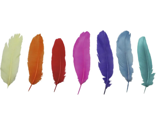Verschiedenfarbige Federn nebeneinander