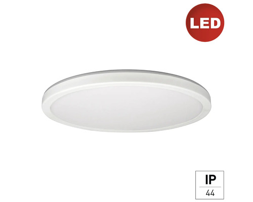 LED Panel Deckenleuchte Wandleuchte e2 Twice² up&down R 18 W 1-flammig IP 20 weiß transparent ( 2459500180196 ) LED Panel Deckenleuchte Wandleuchte e2 Twice² up&down R 18 W 1-flammig IP 20 weiß transparent ( 2459500180196 )