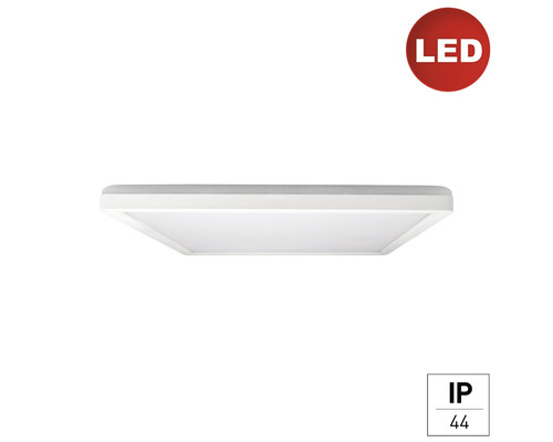 LED Panel Deckenleuchte Wandleuchte e2 Twice² up&down Q 18 W 1-flammig IP 20 weiß transparent ( 2460500180196 ) LED Panel Deckenleuchte Wandleuchte e2 Twice² up&down Q 18 W 1-flammig IP 20 weiß transparent ( 2460500180196 )