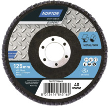 Norton Schleifmopteller 125 Millimeter für Metall und Inox