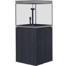 Aquarium mit Unterschrank