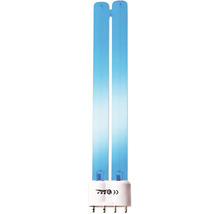 Blaue UV Lampe mit vier Stiften