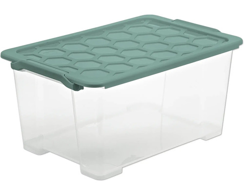 Allzweckkiste Aufbewahrungsbox Rotho 59x28x39,5 cm 1-tlg. Transparente Aufbewahrungsbox mit Deckel