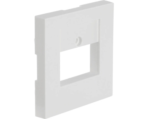 Zentralplatte Abdeckung F-Line USB/TAE polarweiß Rahmen für Dateneinsatz