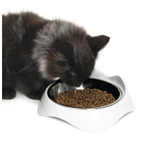 Eine Katze frisst aus einem weißen Futternapf für Katzen.
