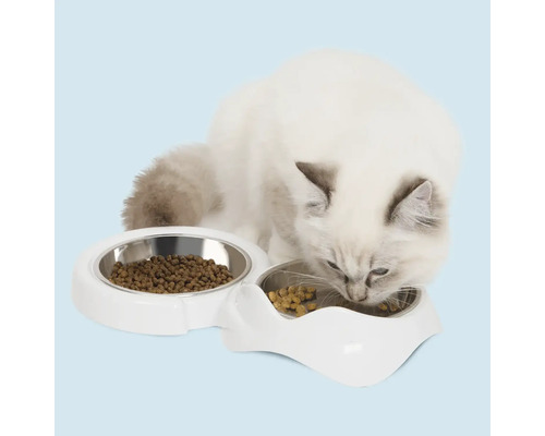 Katze frisst aus einem Doppelnapf mit Futter