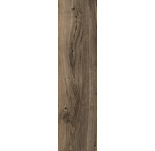 Holzdekorelement mit Maserung