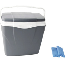 Graue Kühlbox mit zwei Kühlakkus