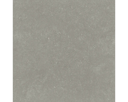 Graue Fliese mit matter Oberfläche