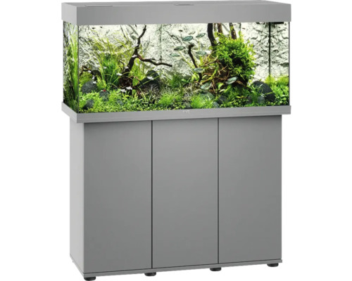 Graues Aquarium mit Unterschrank, bepflanzt und mit Fischen