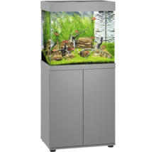 Aquariumkombination mit Unterschrank, inklusive Fische, Pflanzen und Dekoration