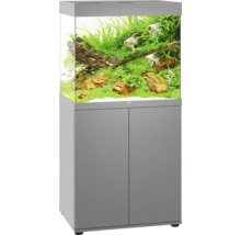 Aquarium mit Schrank, bepflanzt und mit Fischen