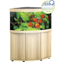 Eckaquarium mit LED-Beleuchtung und Unterschrank