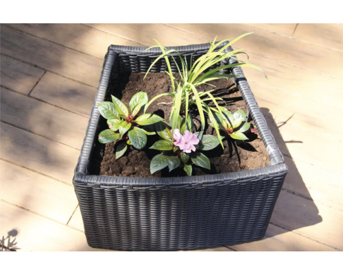 Blumenkasten mit Pflanzen auf einem Holzboden