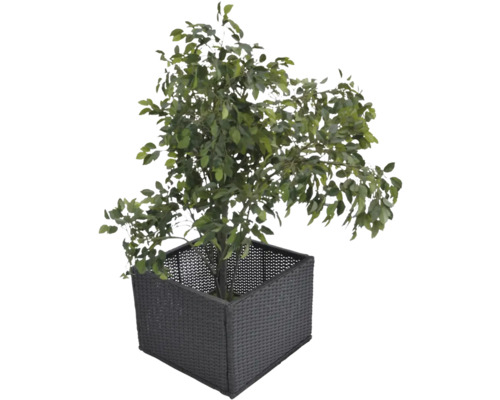 Künstlicher Baum im Topf mit Rattanoptik