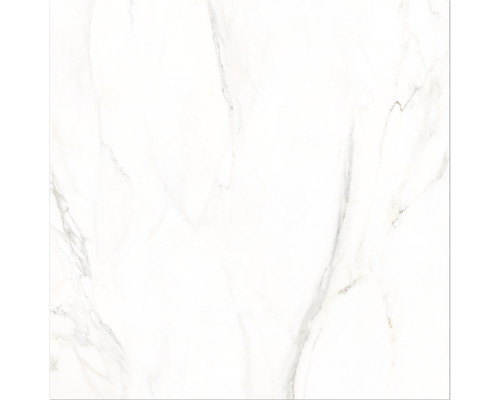 Feinsteinzeug Bodenfliese Premium Calacatta 80x80 cm weiß glänzend rektifiziert