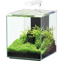 Aquarium aquatlantis Nano Cubic 30 mit Frostglasrückseite, LED-Beleuchtung, Filter, Heizer, Pumpe weiß (ohne Schrank)-thumb-0