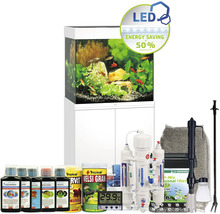 Komplettes Aquariumset mit LED Beleuchtung, Wasseraufbereiter, Thermometer und Futter