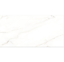 Feinsteinzeug Bodenfliese Premium Calacatta 60x120 cm weiß glänzend rektifiziert-thumb-5