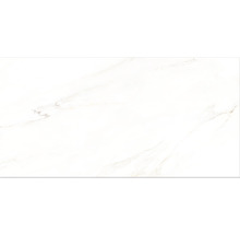 Feinsteinzeug Bodenfliese Premium Calacatta 60x120 cm weiß glänzend rektifiziert-thumb-6