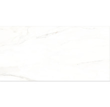 Feinsteinzeug Bodenfliese Premium Calacatta 60x120 cm weiß glänzend rektifiziert-thumb-1