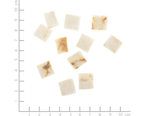 Zehn quadratische Hundesnacks mit Musterung