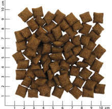 Trockenfutter für Hunde in quadratischer Form